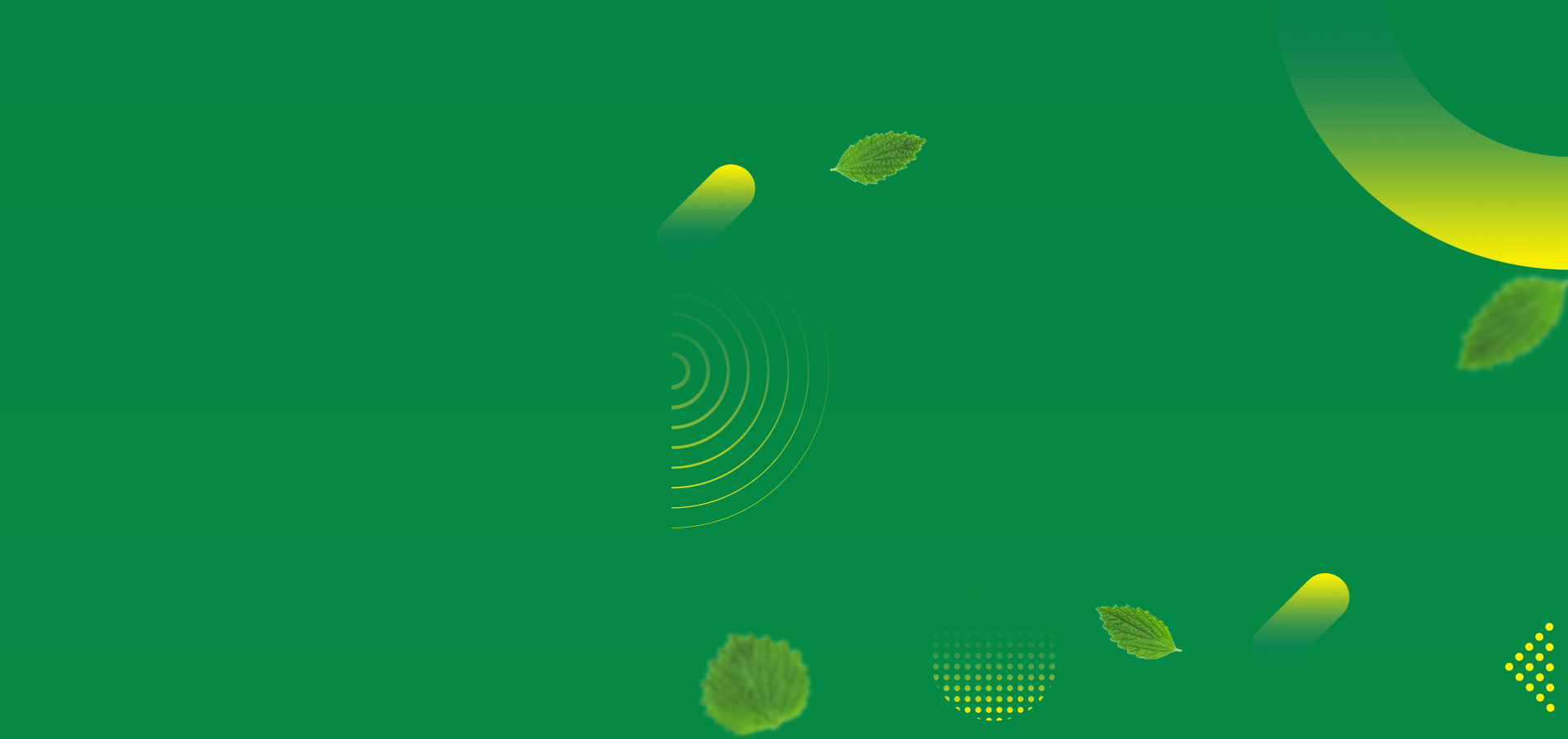 green-color-background-with-scattered-leaves